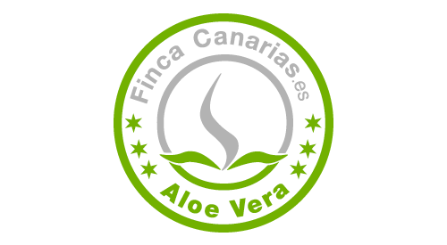 empresas rudy bormans